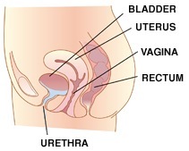 a0af8d39a3a3b6ffff8185ffffd502