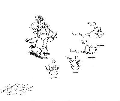 16729ebf7614c3cfffff800dffffd502