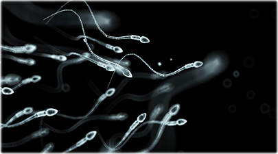 getty_rf_photo_of_sperm_having_a_party