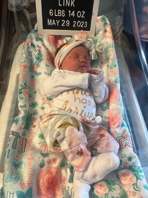 Dr. McHugh vasectomy reversal success baby